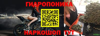 сатива Кандалакша