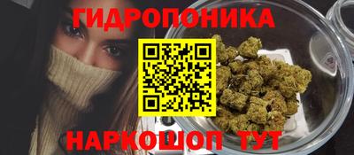 прущие крисы Канаш