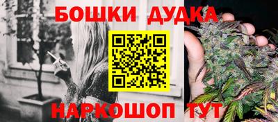 сатива Кандалакша