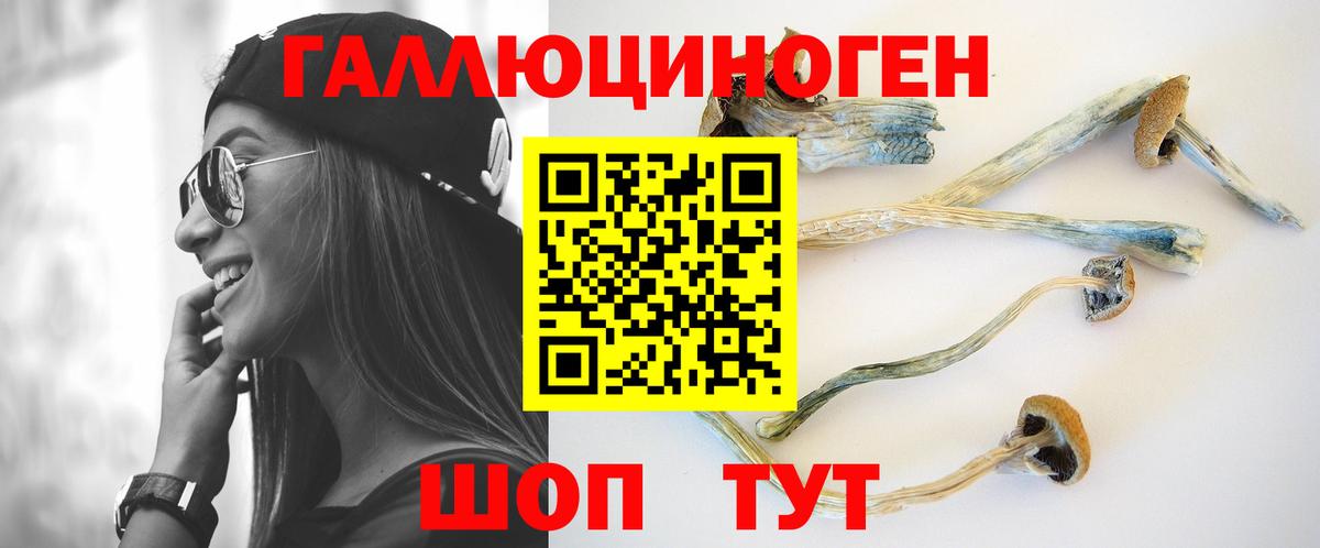Галлюциногенные грибы Psilocybine cubensis Красноярск
